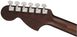 Електрогітара Fender American Professional Strat LTD Roasted Ash Rosewood Neck - фото 3