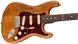 Електрогітара Fender American Professional Strat LTD Roasted Ash Rosewood Neck - фото 5