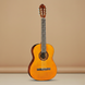Классическая гитара Eko Guitars CS12 (Natural) - фото 1