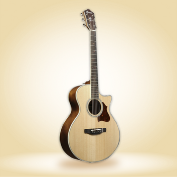 Электроакустическая гитара IBANEZ AE205JR-OPN