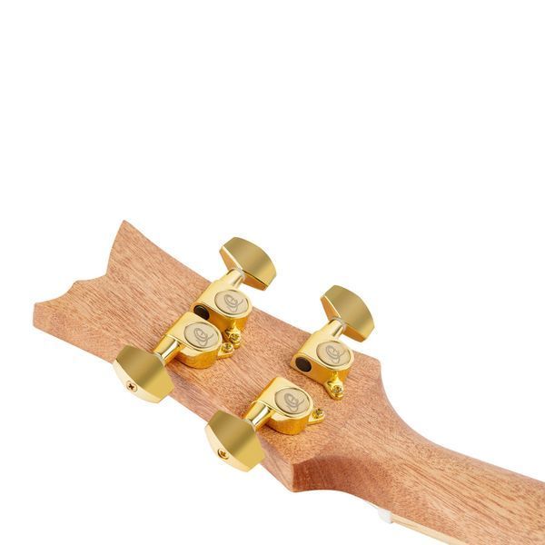 Укулеле Ortega Art RUAR-BI Concert Ukulele Birds