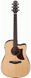 Электроакустическая гитара IBANEZ AAD170CE LGS - фото 1