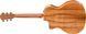 Электроакустическая гитара Taylor Guitars 214ce DLX - фото 6