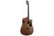 Электроакустическая гитара Ibanez AW247CE - фото 3