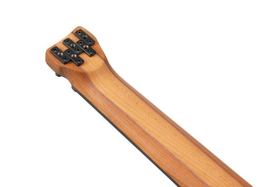 Бас-гітара IBANEZ EHB1005F-AOM з чохлом