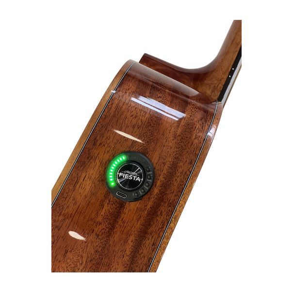 Электроакустическая гитара Fiesta D2 TransAcoustic SB с чехлом
