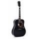 Акустическая гитара Sigma DM-SG5-BK (Fishman Sonitone) с чехлом - фото 3