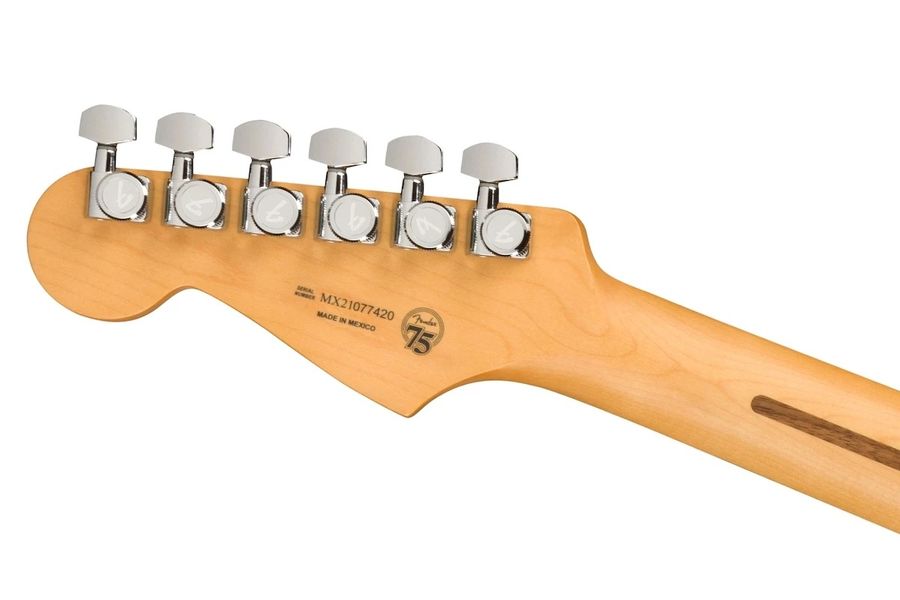 Електрогітара Fender Player Plus Stratocaster HSS PF SVB