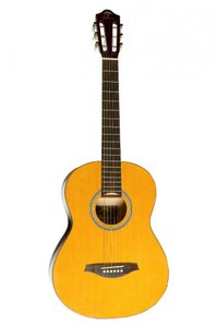Акустическая гитара Virginia V-L05