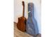 Електроакустична гітара Fiesta KANTA TransAcoustic NT - фото 3