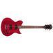 Электрогитара Washburn WI200PRO ECK - фото 2