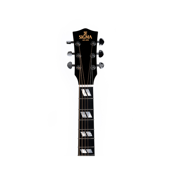 Акустична гітара Sigma DM-SG5+