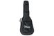 Чехол для акустической гитары Takamine GBYJ Gig Bag For J/J-12 - фото 1