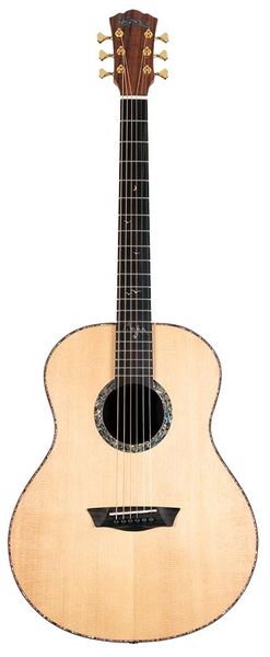 Акустичекая гитара Washburn ELEGANTE S24S