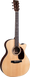Акустическая гитара Martin GPC-16E Rosewood - фото 1