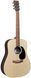 Электроакустическая гитара Martin D-X2E Rosewood Sit/FauxBraz HPL w/Gig Bag - фото 1