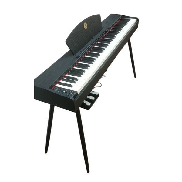 Цифровое пианино Alfabeto Piu Animato (Black)