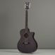 Акустична гітара Schecter Deluxe Acoustic SSTBLK - фото 1
