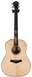 Электроакустическая гитара Taylor Guitars Custom GP Ziricote Lutz Bearclaw - фото 1