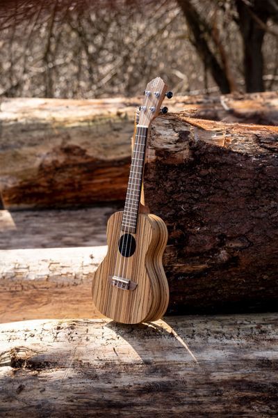 Укулеле Ortega Timber RFU11Z Concert Zebrawood (з чохлом)