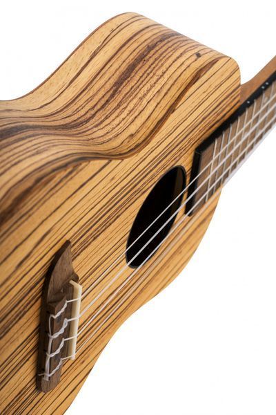 Укулеле Ortega Timber RFU11Z Concert Zebrawood (з чохлом)
