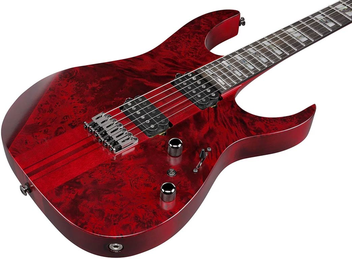 Електрогітара Ibanez RGT1221PB SWL