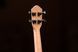Укулеле Ortega Timber RFU11Z Concert Zebrawood (з чохлом) - фото 20