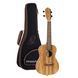 Укулеле Ortega Timber RFU11Z Concert Zebrawood (з чохлом) - фото 1