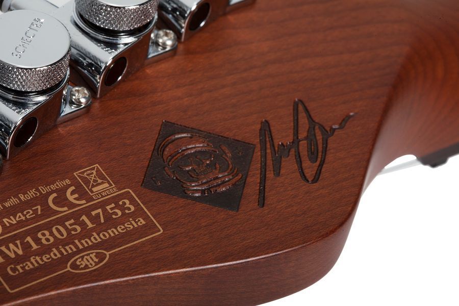 Електрогітара Schecter Nick Johnston DS Trad A.Green