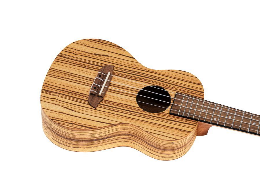Укулеле Ortega Timber RFU11Z Concert Zebrawood (з чохлом)