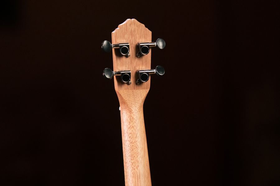 Укулеле Ortega Timber RFU11Z Concert Zebrawood (з чохлом)