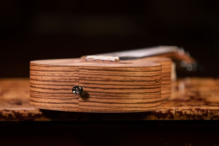 Укулеле Ortega Timber RFU11Z Concert Zebrawood (з чохлом)