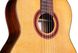 Классическая гитара Cordoba C7 CD - фото 5