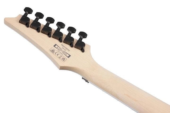 Електрогітара Ibanez RG470DX TMN