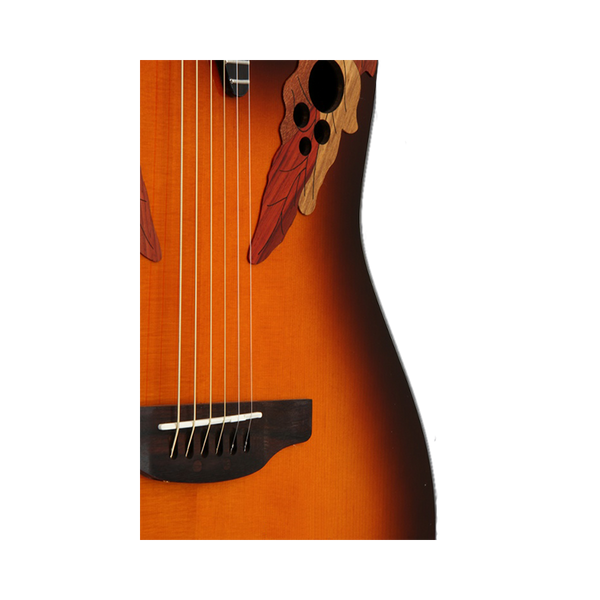 Електроакустична гітара Ovation Celebrity CE 44-1