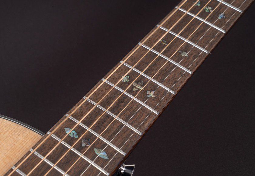Акустичекая гитара Washburn WP33SRS