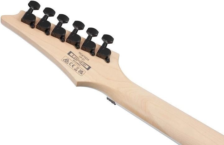 Електрогітара Ibanez RG470DX SFM