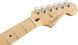 Электрогитара Fender Player LTD Stratocaster MN Black - фото 3