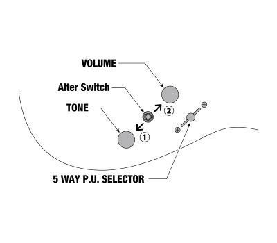 Електрогітара IBANEZ AZ2204N VGF