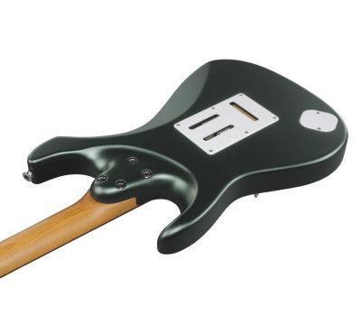 Електрогітара IBANEZ AZ2204N VGF