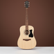 Гитара акустическая IBANEZ V40-OPN - фото 1