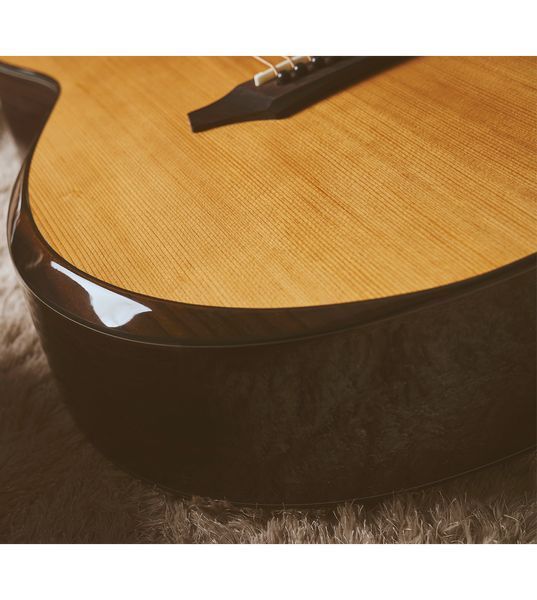 Акустическая гитара GOPHER WOOD i365 RC