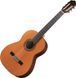 Классическая гитара Antonio Sanchez S-1030 Cedar - фото 3