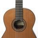 Классическая гитара Antonio Sanchez S-1030 Cedar - фото 2