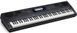 Синтезатор Casio WK-6500 - фото 2