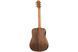 Электроакустическая гитара Taylor Guitars BT1-e - фото 2