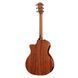 Електроакустична гітара TAYLOR GUITARS 314CE STUDIO SPECIAL EDITION NATURAL - фото 3