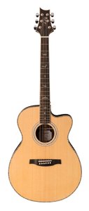 Електроакустична гітара PRS SE A60E