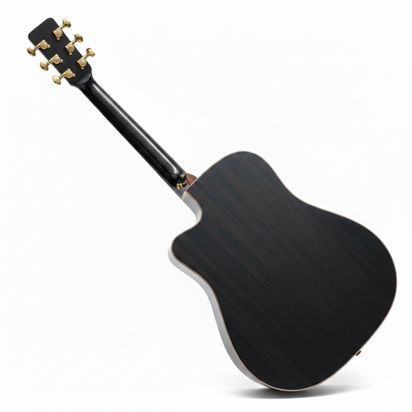 Акустическая гитара FIESTA D2 BK TransAcoustic с чехлом