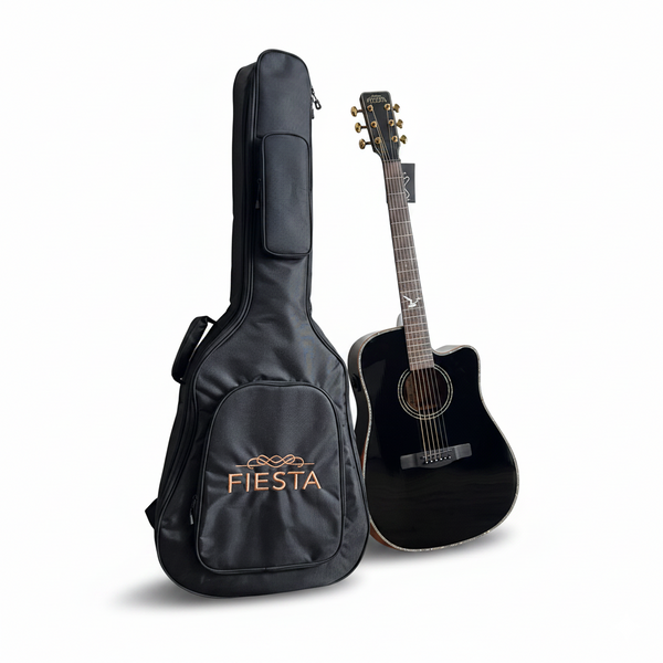 Акустическая гитара FIESTA D2 BK TransAcoustic с чехлом